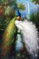 Tow Peacocks - Oil Painting Reproduction On Canvas