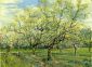 Orchard with Blossoming Plum Trees - Oil Painting Reproduction On Canvas