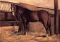 Yerres, Reddish Bay Horse in the Stable - Gustave Caillebotte Oil Painting