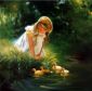 Golden Moment - Donald Zolan Oil Painting