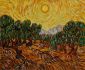 Olive Trees with Yellow Sun and Sky - Vincent Van Gogh Oil Painting