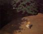 The Ball - Felix Vallotton Oil Painting