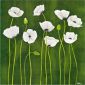 Some white poppy flowers - Oil Painting Reproduction On Canvas