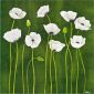 Some white poppy flowers - Oil Painting Reproduction On Canvas