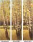 Autumn Woods II - Oil Painting Reproduction On Canvas