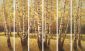 Autumn Woods-Paint on six separate canvases - Oil Painting Reproduction On Canvas
