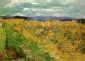 Wheat Field with Cornflowers - Vincent Van Gogh Oil Painting