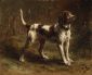 A Limier Briquet Hound - Rosa Bonheur Oil Painting