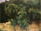 Ilex Wood, Majorca - John Singer Sargent Oil Painting