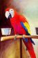 A Red Parrot in Its Cage - Oil Painting Reproduction On Canvas