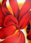 Red Cannas III - Georgia O'Keeffe Oil Painting