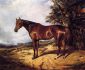 Thoroughbred - Arthur Fitzwilliam Tait Oil Painting