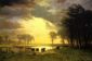 The Buffalo Trail - Albert Bierstadt Oil Painting