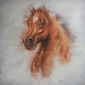 Horse head on decorative painitng