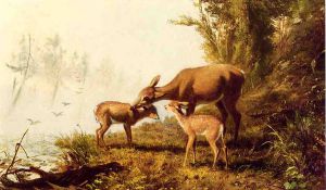 Deer in the Woods -  Arthur Fitzwilliam Tait Oil Painting