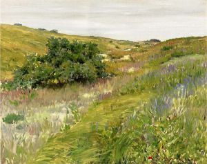 Landscape, Shinnecock Hills -   William Merritt Chase Oil Painting