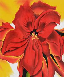 Red Amaryllis -   Georgia O\'Keeffe Oil Painting