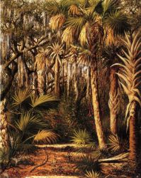 Palm Hammock with Epiphytes - William Aiken Walker Oil Painting