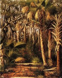 Palm Hammock with Epiphytes -   William Aiken Walker Oil Painting