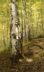 Silver Birches - John George Brown Oil Painting