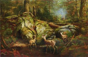 Deer in the Adirondacks -  Arthur Fitzwilliam Tait Oil Painting