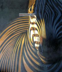The head of zebra