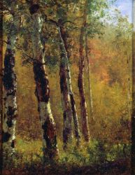 Birch Trees - Thomas Worthington Whittredge Oil Painting