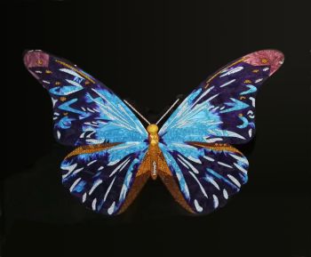Blue And Yellow Butterfly