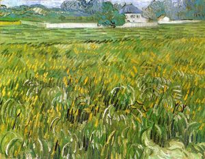 Wheat Field at Auvers with White House -  Vincent Van Gogh Oil Painting