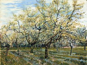 The White Orchard -   Vincent Van Gogh Oil Painting