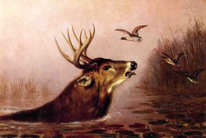 Deer in Marsh -  Arthur Fitzwilliam Tait Oil Painting