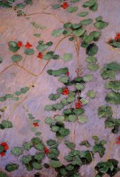 Nasturtiums II - Gustave Caillebotte Oil Painting