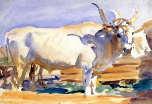 White Ox at Siena - John Singer Sargent Oil Painting