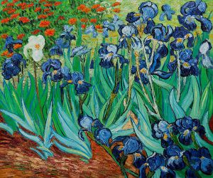 Irises II - Vincent Van Gogh Oil Painting