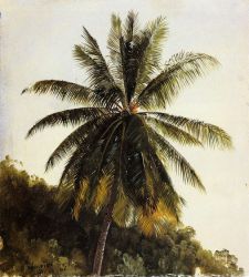 Palm Trees, West Indies - Frederic Edwin Church Oil Painting