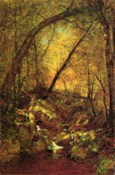 Sunshine on the Brook - Thomas Worthington Whittredge Oil Painting