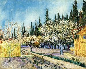 Orchard Surrounded by Cypresses -  Vincent Van Gogh Oil Painting