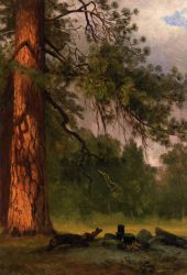 Yosemite Camp Kitchen -   Albert Bierstadt Oil Painting