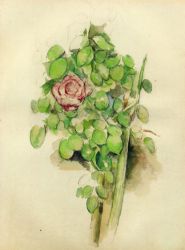 Rose Bush - Paul Cezanne Oil Painting