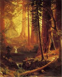 Giant Redwood Trees of California - Albert Bierstadt Oil Painting