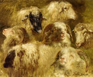 Heads of Ewes and Rams - Rosa Bonheur Oil Painting