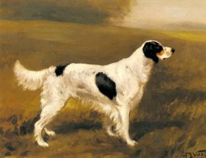 English Springer Spaniel - Oil Painting Reproduction On Canvas