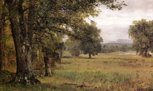 Landscape in the Catskills - Thomas Worthington Whittredge Oil Painting