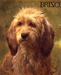 Brizo, a Shepherd\'s Dog -  Rosa Bonheur Oil Painting