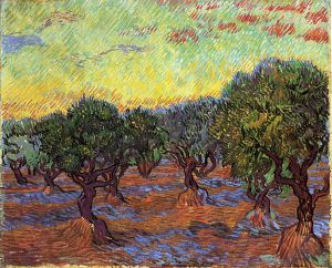 Olive Grove: Orange Sky -  Vincent Van Gogh Oil Painting