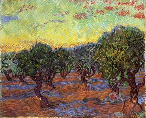 Olive Grove: Orange Sky - Vincent Van Gogh Oil Painting