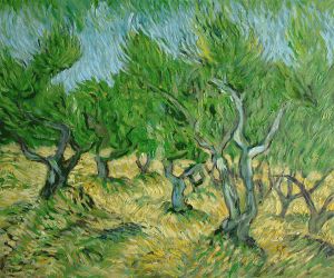 Olive Grove III -  Vincent Van Gogh Oil Painting