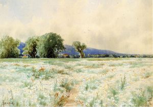 The Daisy Field -   Alfred Thompson Bricher Oil Painting