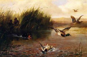 Duck Shooting -  Arthur Fitzwilliam Tait Oil Painting