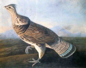 Ruffed Grouse -  John James Audubon Oil Painting